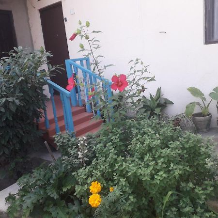 Guesthouse Zeinabi Tbilisi Exteriér fotografie